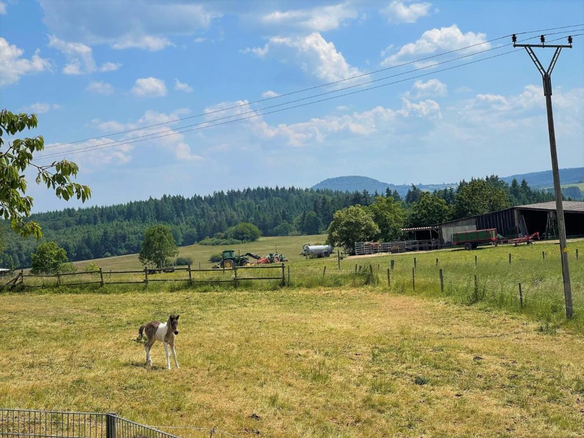 Ferienwohnung Eifel Hümmel Exterior foto